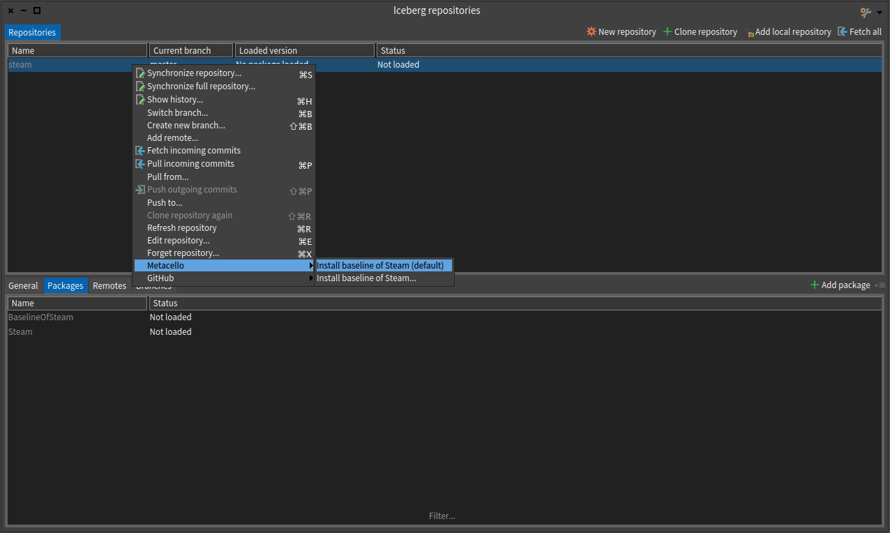 Steam installation with Metacello